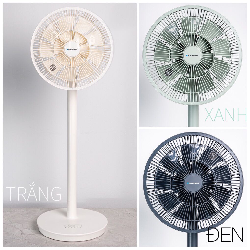 QUẠT TUẦN HOÀN INVERTER BLAUPUNKT X2