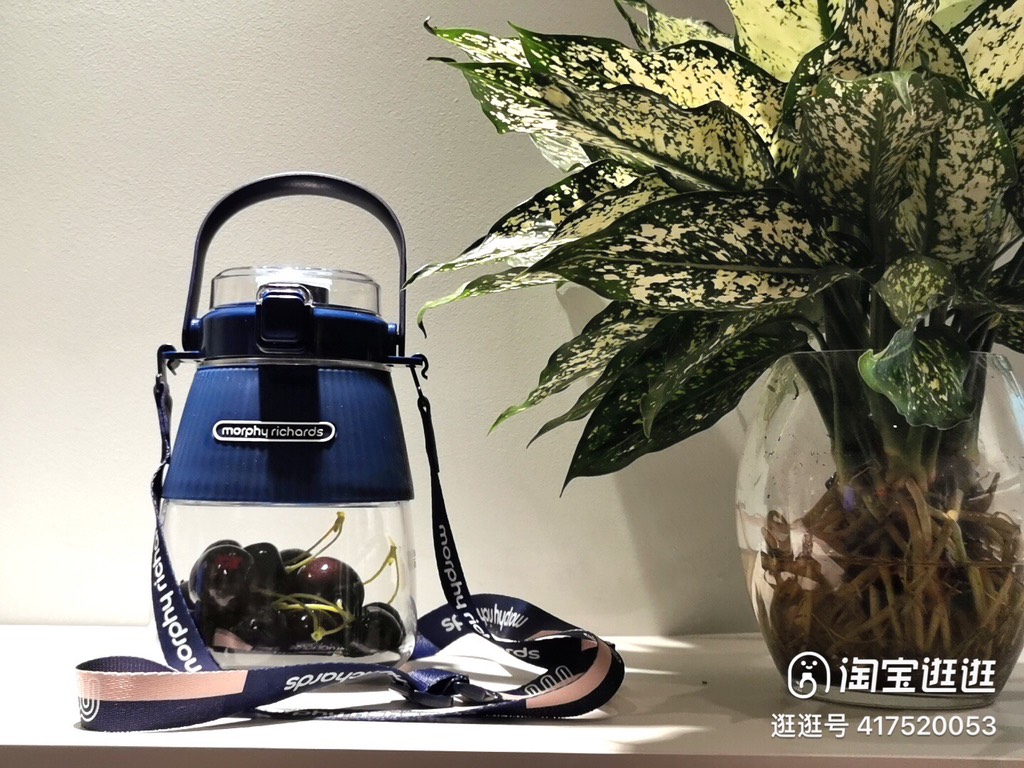 BÌNH SINH TỐ DETOX DI ĐỘNG GEN2 MORPHY RICHARDS
