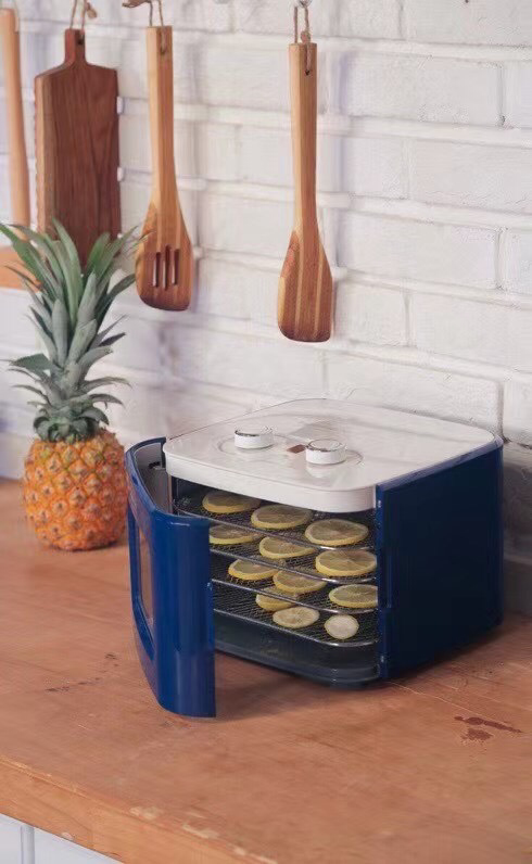 MÁY SẤY THỰC PHẨM MORPHY RICHARDS MR6255