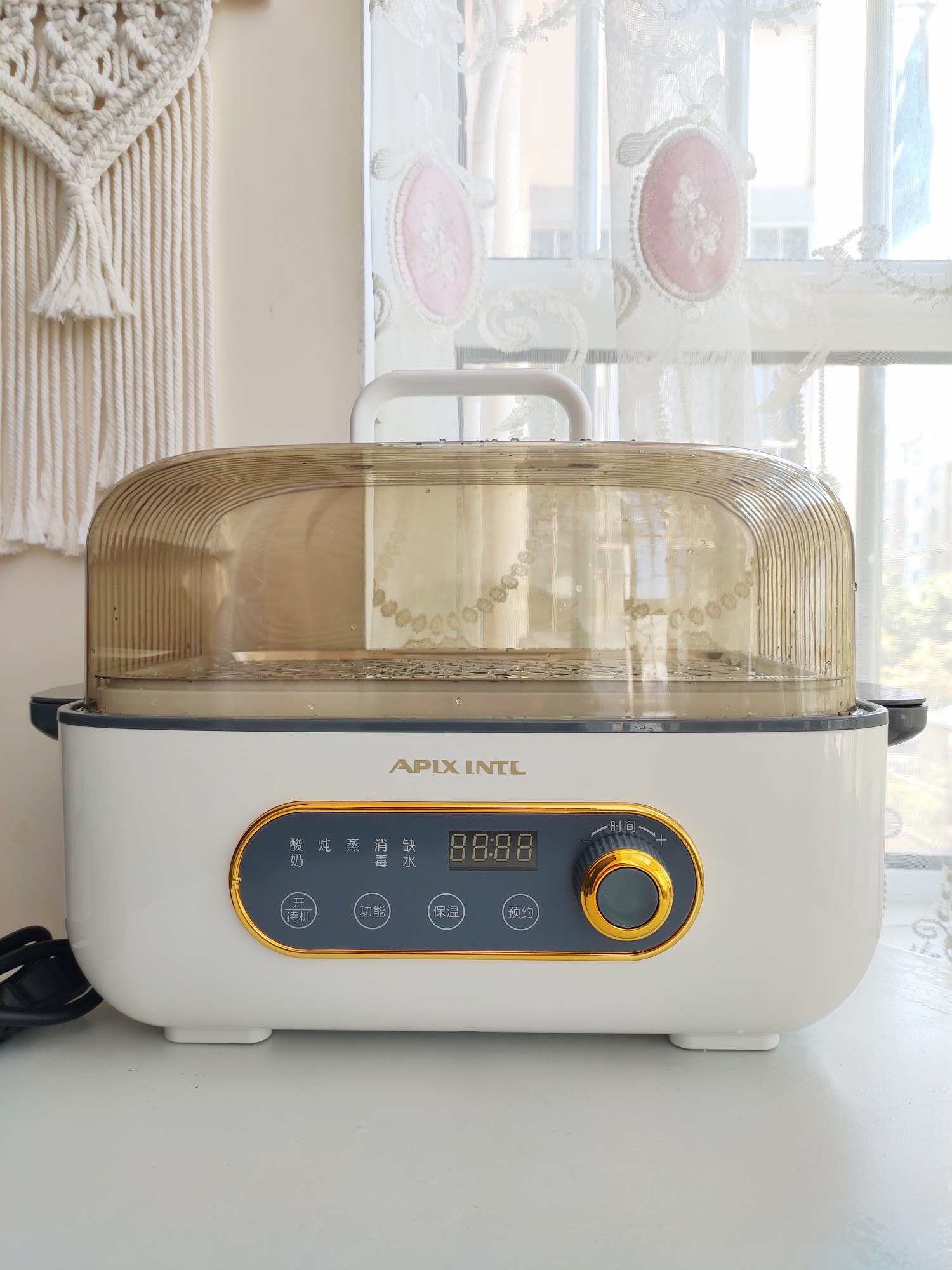 NỒI HẤP ĐIỆN ĐA NĂNG 5L APIXINTL