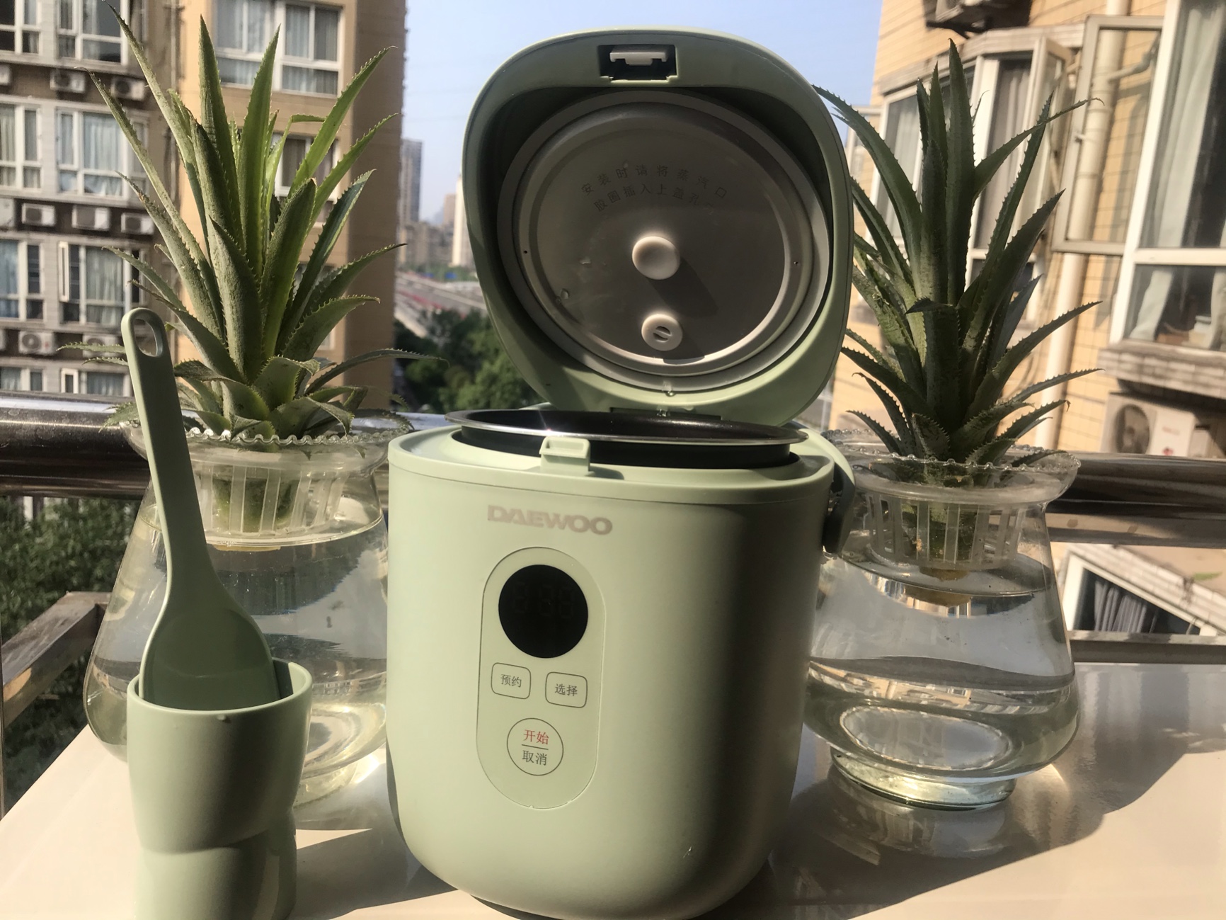 NỒI CƠM ĐIỆN MINI DAEWOO 1.2L