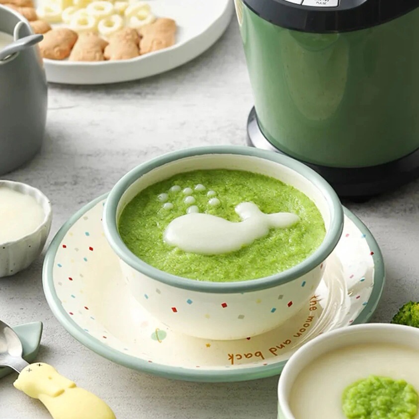 MÁY XAY SINH TỐ ĐA NĂNG MORPHY RICHARDS MR9501