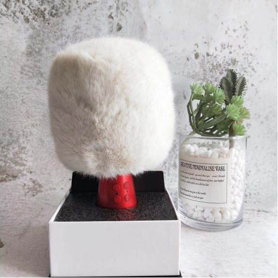 MIC hát Karaoke Bluetooth G2