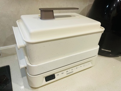 BẾP ĐA NĂNG DAEWOO S11