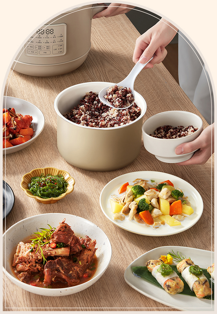 NỒI ÁP SUẤT ĐIỆN THÔNG MINH BRUNO 3L