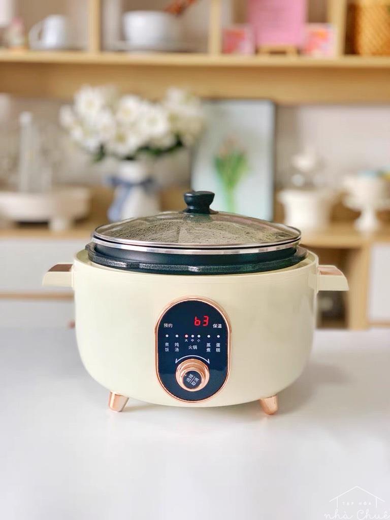 NỒI ÁP SUẤT ĐIỆN APIXINTL 4L