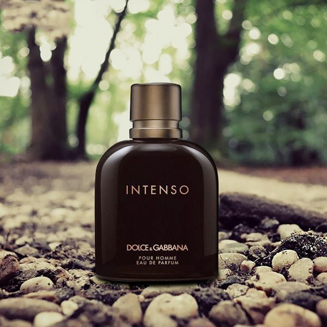 Nước Hoa Nam Dolce&Gabbana Intenso