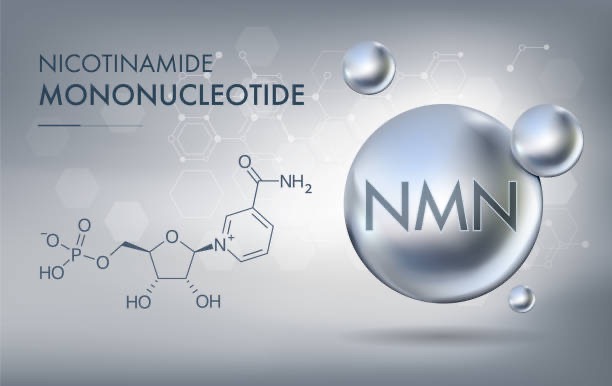 NMN chính thức được FDA tiếp tục công nhận là thực phẩm bổ sung
