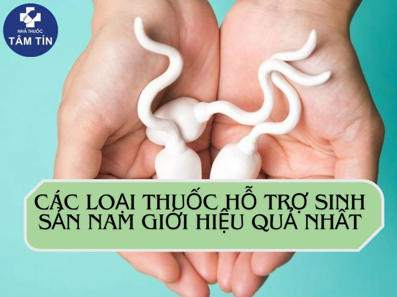 Các loại thực phẩm hỗ trợ sinh sản nam giới hiệu quả nhất