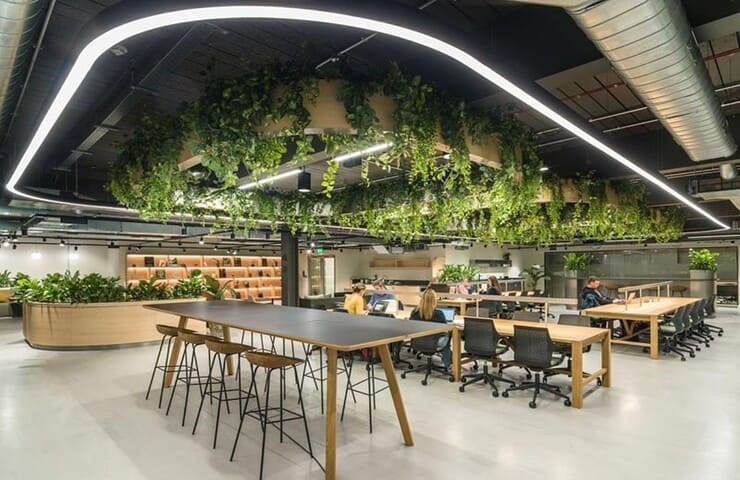 Xanh và thân thiện