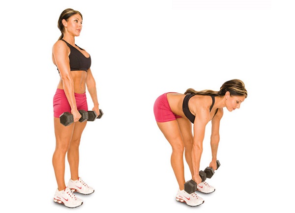 Bài tập cùng tạ tay Stiff-Legged Dumbbell Deadlift