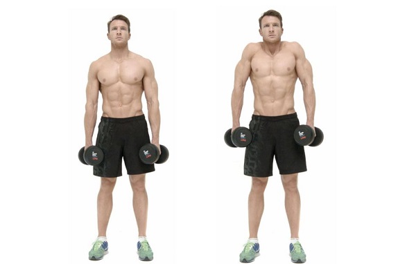 Bài tập với tạ tay Dumbbell Shrug