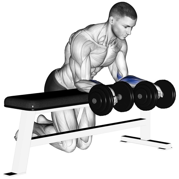 Bài tập Dumbbell wrist curls