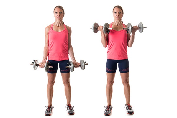 Bài tập với tạ tay Dumbbell Curl
