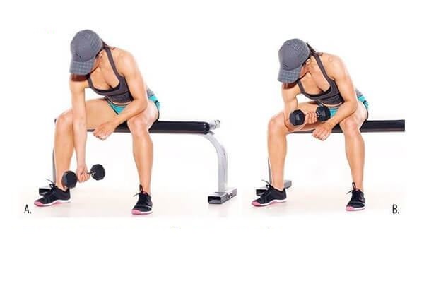 Bài tập tay trước cho nữ Concentration Curls
