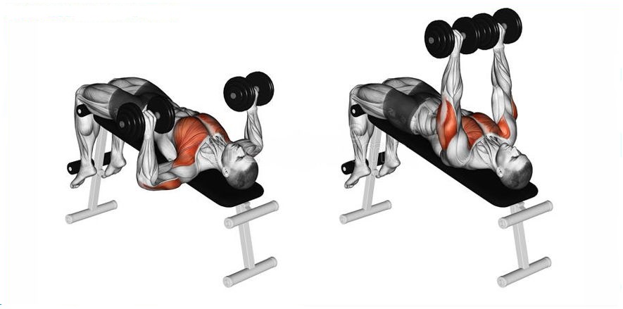 Bài tập ngực dưới cùng với tạ đơn - Decline Dumbbell Bench Press