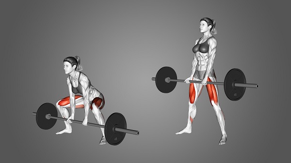 Bài tập Sumo Deadlift