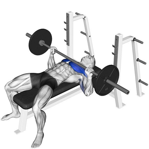 Bài tập tăng cân cùng tạ Bench Press