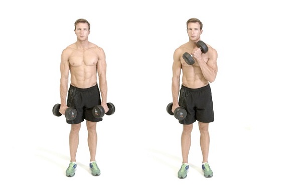 Bài tập Dumbbell Cross Body Hammer Curl