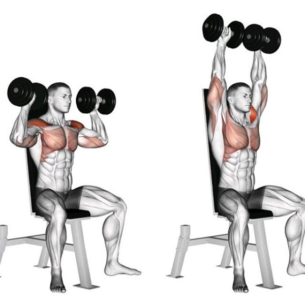 Bài tập tạ tay cơ vai Dumbbell Shoulder Press