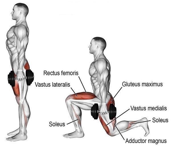  Bài tập tạ tay Lunges with Dumbbell