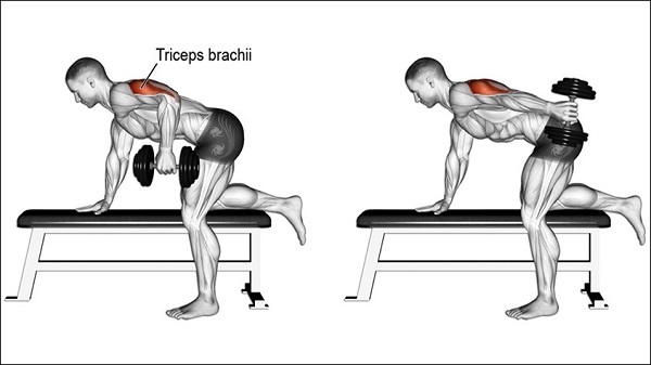 Bài tập tạ tay Tricep Dumbbell Kick Back