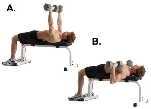 Bài tập nằm ép ngực ở ghế băng tập tạ