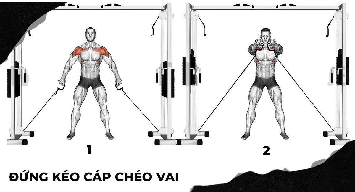 Bài tập đứng kéo cáp chéo