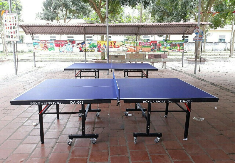 Hình ảnh thực tế bàn bóng bàn thi đấu nhập khẩu DA-003