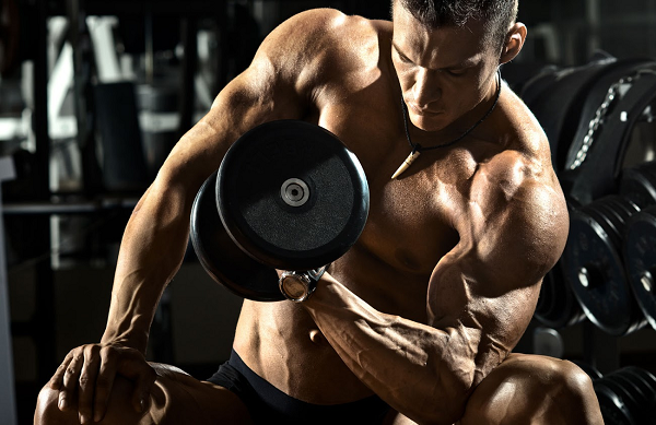 Những lưu ý cần nắm vững khi thực hiện các bài tập Biceps để hiệu quả nhất