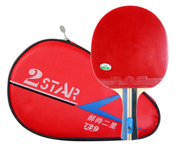 VỢT BÓNG BÀN 729 2STAR