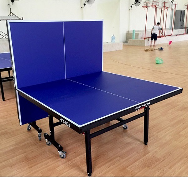 Bàn bóng bàn Thiên Trường TT 003 hình ảnh thực tế