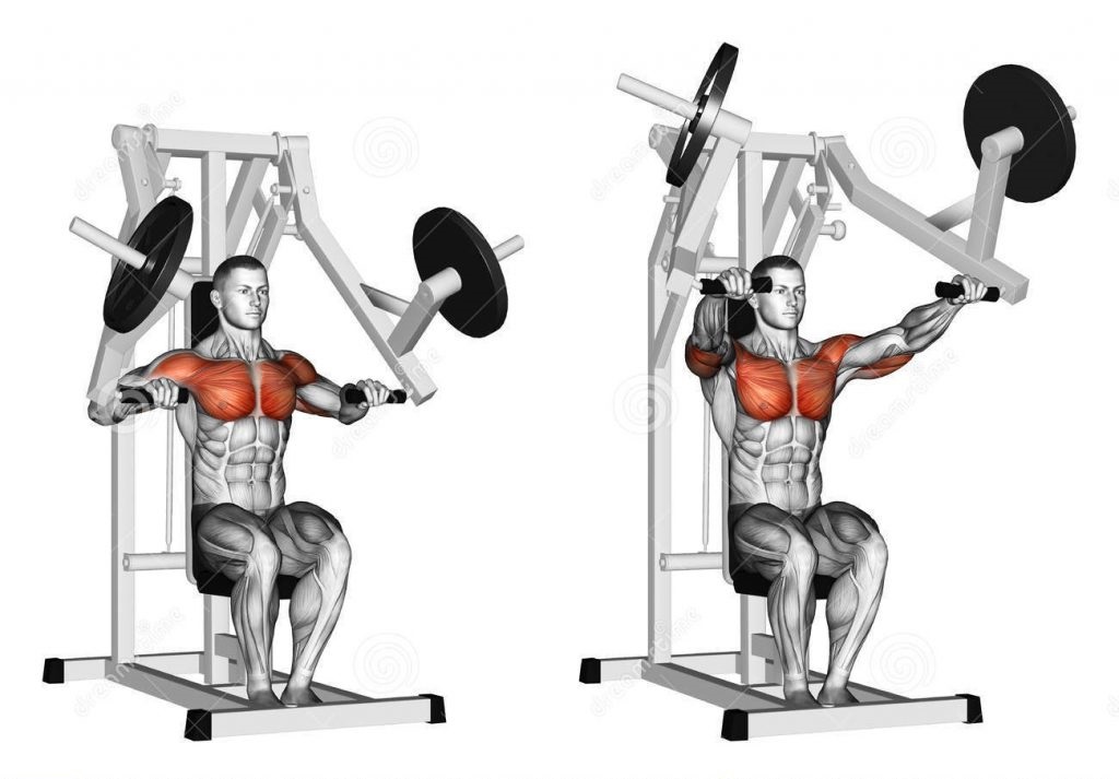 Tập gym không nên chỉ tập trung vào một nhóm cơ