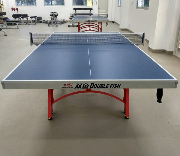 Bàn bóng Bàn Double Fish X1 thực tế giá rẻ