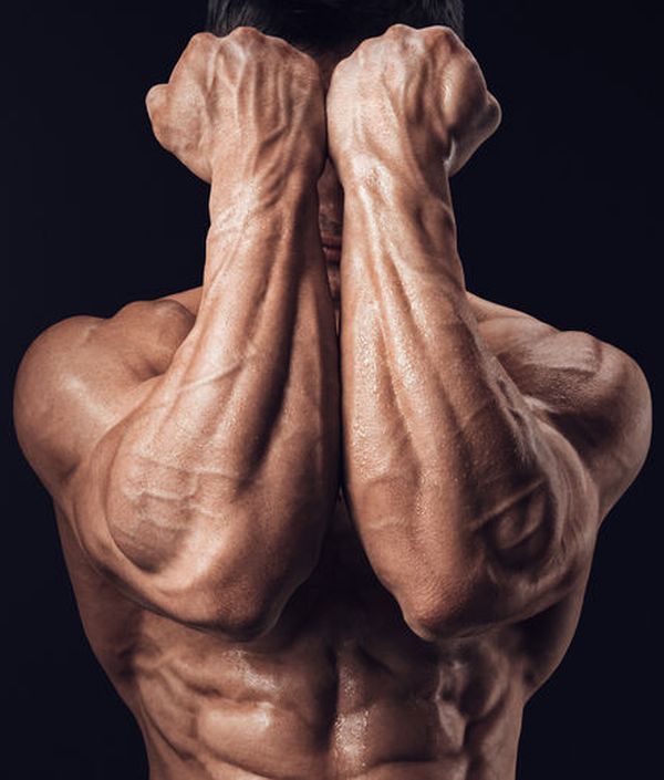 Tìm hiểu về Forearm là gì
