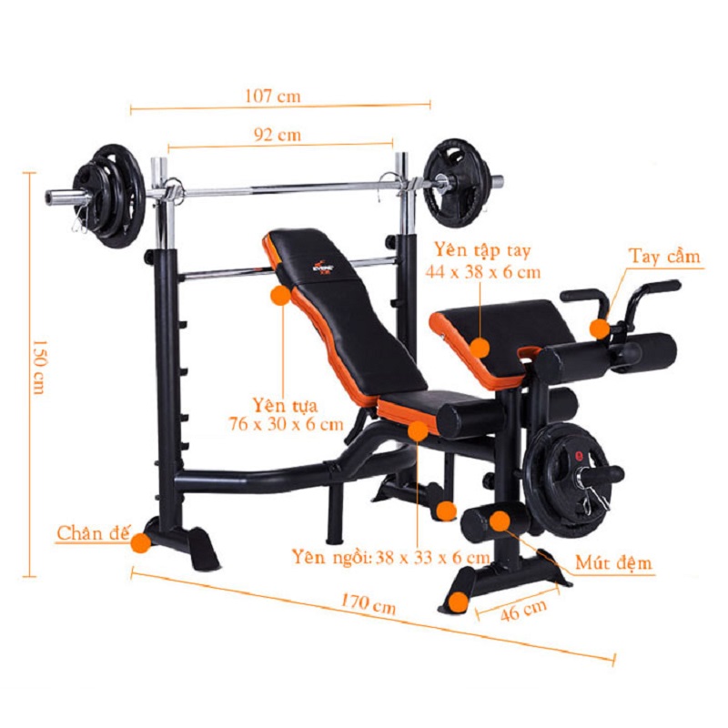 Kích thước của ghế tập tạ GM 4380 chính hãng