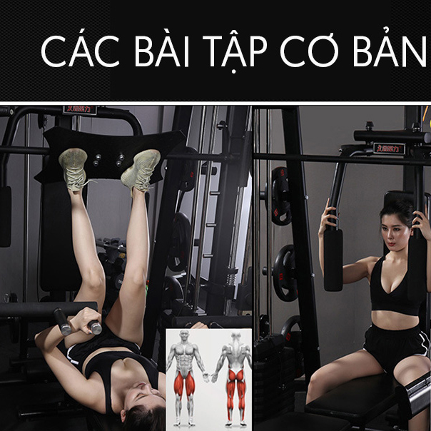 Các bài tập về giàn tạ đa năng BP - HK168