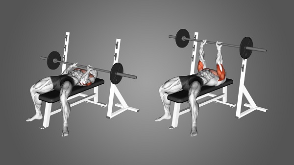Lịch tập gym tăng cơ vào thứ 3
