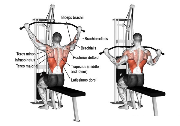 Lịch tập gym tăng cơ vào thứ 5