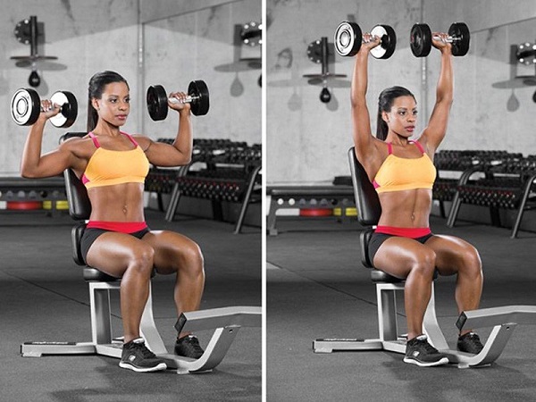 Bài tập Seated shoulder press