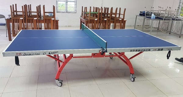 Hình ảnh thực tế từ Bàn bóng bàn Double Fish 323 rất đẹp
