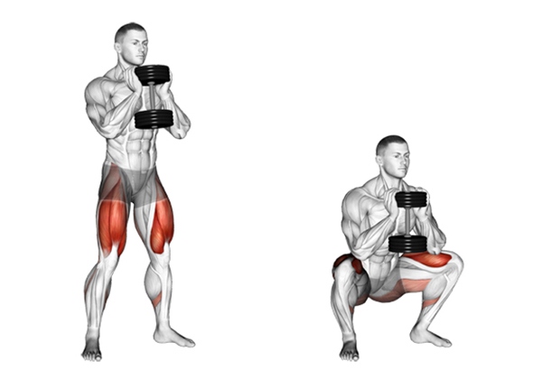 Bài tập Goblet Squat