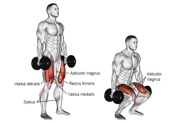 Bài tập Dumbbell Squat