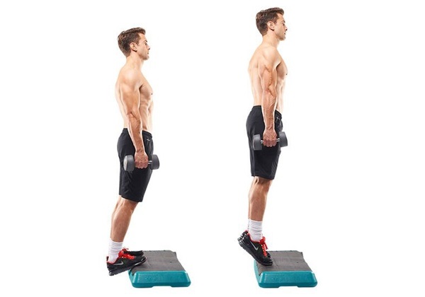 Bài tập tạ gang Calf Raise