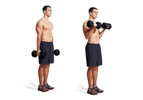 Động tác Bicep curls