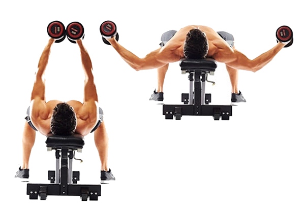 Bài tập banh ngực với tạ đơn ghế dốc