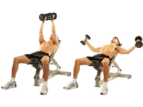 Bài tập nằm trên ghế dốc đẩy tạ đôi (Incline Dumbbell Pres)