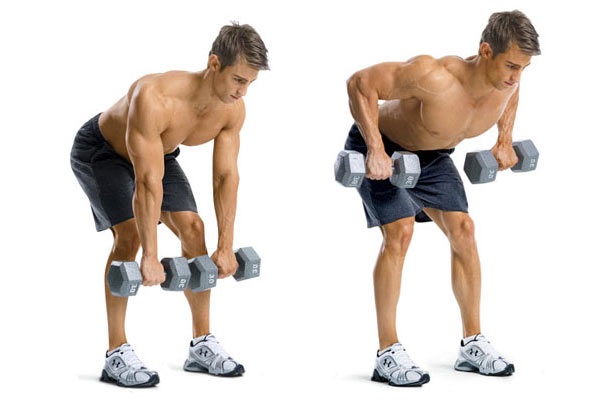 Bài tập gập người và nâng tạ - Dubbell Bent Over Row