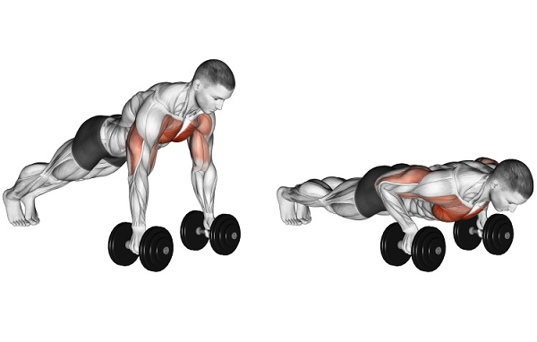 Bài tập tạ tay Push-up