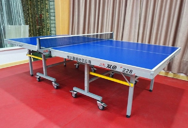 Mẫu bàn bóng bàn Double Fish 228